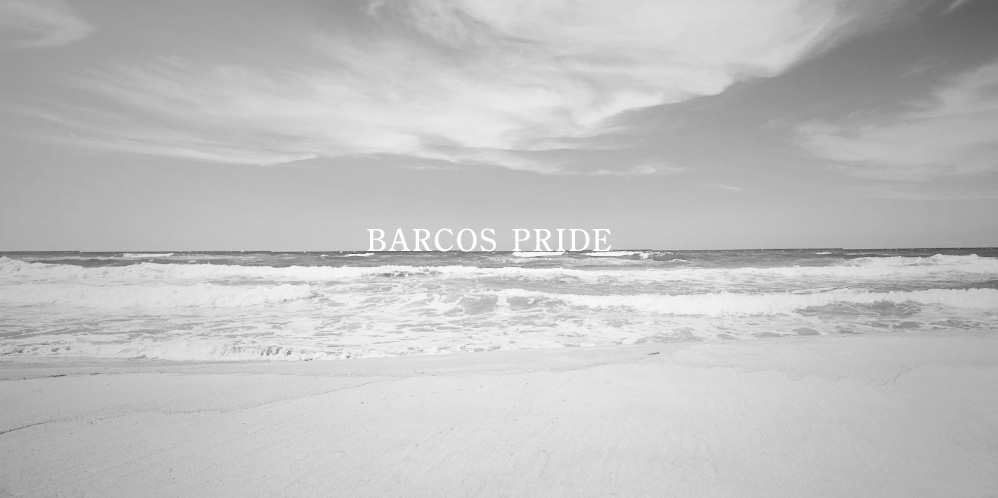 BARCOS | 【株式会社バルコス】公式サイト。鳥取県倉吉市発の